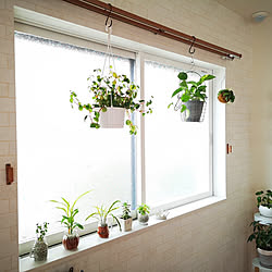 壁/天井/観葉植物/シンプルナチュラル/建売/北欧風にしたい...などのインテリア実例 - 2019-04-11 05:57:35