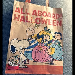 壁/天井/ハロウィン/ショップ袋/ソニープラザ/snoopy...などのインテリア実例 - 2015-09-27 09:30:21