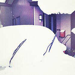 玄関/入り口/車/雪籠り/雪景色/かわいいも男前も好き♥...などのインテリア実例 - 2017-01-25 07:55:24