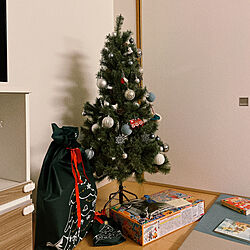クリスマスツリー/リビングのインテリア実例 - 2022-12-24 23:15:01