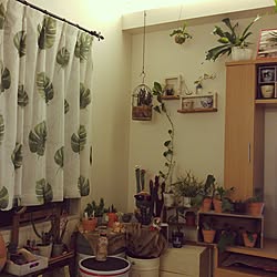 部屋全体のインテリア実例 - 2017-01-06 18:06:57