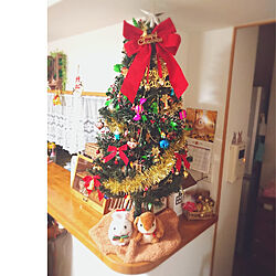 リビング/クリスマス/キッチンカウンターの上/クリスマスツリー120cm/お部屋改造計画中...などのインテリア実例 - 2021-11-08 22:12:11