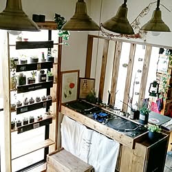 DJブース/木工/賃貸DIY/DIY/観葉植物...などのインテリア実例 - 2015-10-02 23:05:00