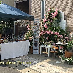 部屋全体/ハンドメイド/多肉植物/多肉/5/18,24...などのインテリア実例 - 2016-05-25 14:16:11