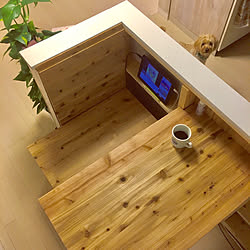 DIY/カフェ風/観葉植物/ナチュラル/北欧...などのインテリア実例 - 2019-03-23 09:04:35