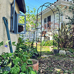 玄関/入り口/アーチのある庭❁/新緑の季節/シェッドDIY/DIY小屋...などのインテリア実例 - 2024-04-19 11:06:37