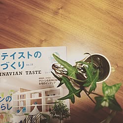 部屋全体/ご報告/雑誌に掲載されました。/北欧テイストの部屋づくり/北欧...などのインテリア実例 - 2016-08-03 22:22:39