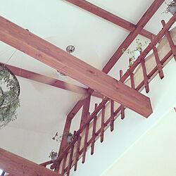 壁/天井/ロフト/観葉植物/植物のインテリア実例 - 2014-01-19 10:00:55
