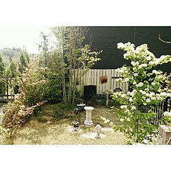 玄関/入り口/ガーデン/庭のインテリア実例 - 2014-05-02 19:09:15