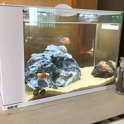 金魚水槽/部屋全体のインテリア実例 - 2020-10-02 09:35:28