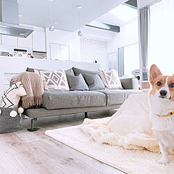 犬/わんこと暮らす家/いぬのいる暮らし/いぬと暮らす/IKEA...などのインテリア実例 - 2020-02-10 19:22:00