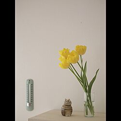 棚/お部屋に花を/温度計/リサラーソンのインテリア実例 - 2015-01-16 16:30:36