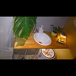 バス/トイレ/観葉植物/照明器具/100均のインテリア実例 - 2017-04-11 14:26:15