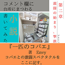 キッチン/小説書いてみた/閲覧していただいた方に感謝♪/いいね、フォロー本当に感謝デス☺︎/コバエ...などのインテリア実例 - 2021-08-14 07:22:10