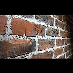 ブルックリンスタイル/DIY/レンガ壁/壁/天井のインテリア実例 - 2021-04-24 22:13:02
