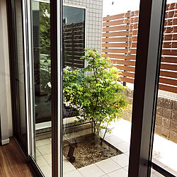 窓/植物/中庭のインテリア実例 - 2020-04-24 09:22:19