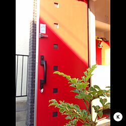 玄関/入り口/観葉植物/赤いドアのインテリア実例 - 2015-04-02 17:15:22