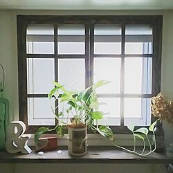 バス/トイレ/洗面所/窓辺/植物/DIY...などのインテリア実例 - 2016-10-14 23:42:15