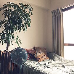 ベッド周り/オールドキリムクッション/シェフレラ/観葉植物のインテリア実例 - 2016-04-24 13:21:28