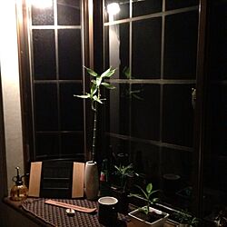 リビング/出窓/照明/植物のインテリア実例 - 2014-05-21 21:35:34