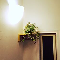 壁/天井/壁に付けられる家具/無印良品/観葉植物のインテリア実例 - 2017-06-17 21:04:11