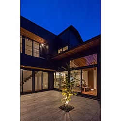 レッドシダー/中庭/ヤマモミジ/freedom architects/部屋全体のインテリア実例 - 2015-12-18 22:25:13