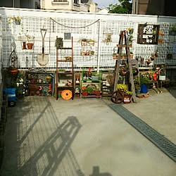 部屋全体/JUNK GARDEN/サビサビ/雑貨/植物...などのインテリア実例 - 2015-05-06 16:24:12