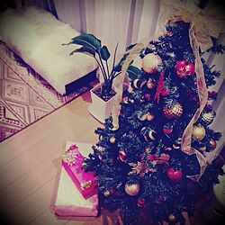 リビング/クリスマスプレゼント/クリスマスのインテリア実例 - 2013-12-25 00:51:56