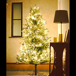 クリスマス/玄関ディスプレイ/北欧雑貨/IKEA/一生ものの家具...などのインテリア実例 - 2020-11-11 21:56:07