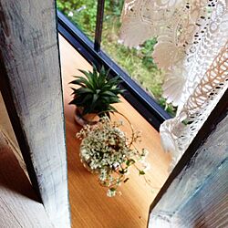 リビング/出窓が植物の温室になったら？！/デコ窓/窓枠 DIY/アンティークステンドグラス...などのインテリア実例 - 2016-12-11 20:39:12