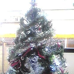 玄関/入り口/クリスマスツリーのインテリア実例 - 2012-11-13 17:03:59