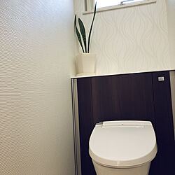 サンスベリア/一階トイレ/バス/トイレのインテリア実例 - 2020-11-22 07:27:02