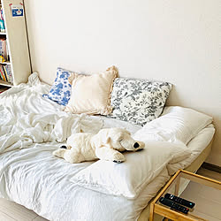 ベッド周り/しろくま/IKEAのインテリア実例 - 2023-07-14 12:50:21