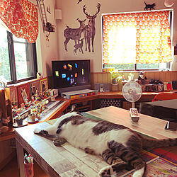 ねこと暮らす/IKEA猫柄カーテン/食卓で寝る猫/紙粘土工作中/ねこのいる風景...などのインテリア実例 - 2021-07-31 09:22:38