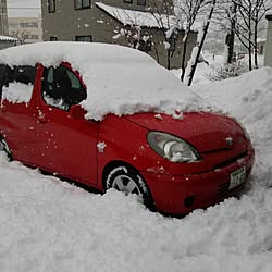 部屋全体/大雪注意報発令中/雪掻き( ；∀；)/のんびりまったり♪/フォロワー様400名に感謝です...などのインテリア実例 - 2015-03-02 11:34:17