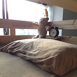 ベッド周り/子供/IKEA/二段ベッドのインテリア実例 - 2012-12-01 15:42:51