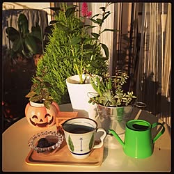 部屋全体/ベランダ/観葉植物/ハロウィンカボチャ/ナチュラルキッチン...などのインテリア実例 - 2013-10-13 07:19:03