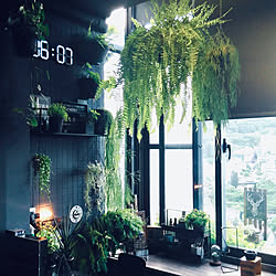 雑貨/男前/100均/DIY/観葉植物...などのインテリア実例 - 2020-08-22 22:53:56