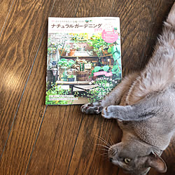 プランター/雑誌掲載/ガーデン/植物のある暮らし/ナチュラルガーデン...などのインテリア実例 - 2019-02-03 12:43:36