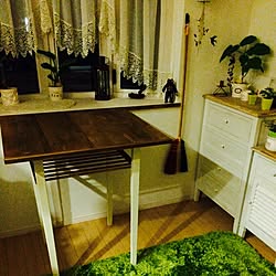 DIY/植物のインテリア実例 - 2014-12-26 23:10:24