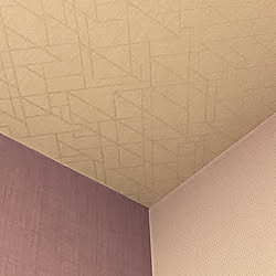 天井クロス/トイレのインテリア/紫色壁紙/アクセントクロス/バス/トイレのインテリア実例 - 2022-03-02 13:16:53
