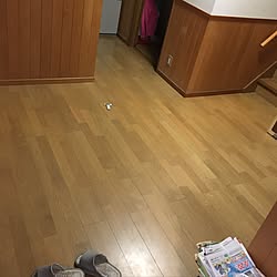 玄関/入り口/金は無い/汚部屋/Before/after...などのインテリア実例 - 2016-12-25 20:19:47