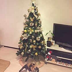 リビング/クリスマスツリー180cm/ペット/ねこ/ペットと暮らす家のインテリア実例 - 2016-12-20 02:27:22