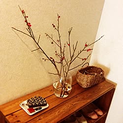 玄関/入り口/DIY/梅/植物/靴箱...などのインテリア実例 - 2015-02-07 11:03:47