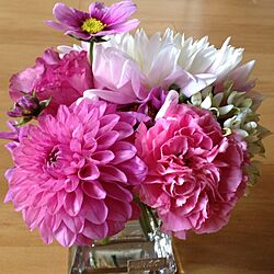 リビング/お花のインテリア実例 - 2013-11-05 11:06:42