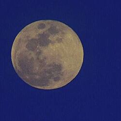 Moonのインテリア実例 - 2017-03-18 10:50:34
