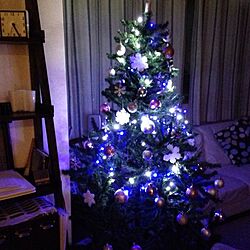 リビング/夜のクリスマスツリーのインテリア実例 - 2013-12-13 21:24:42