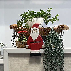 キッチン/IKEAのフェイクグリーン/スタンダードプロダクツの植木鉢/アイアン雑貨/クリスマスツリー...などのインテリア実例 - 2023-11-07 14:45:22