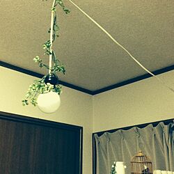 壁/天井/照明/カウンター上/フェイクグリーンのインテリア実例 - 2014-03-05 22:00:34