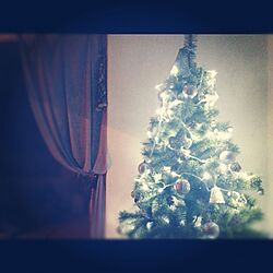 リビング/クリスマス/クリスマスツリーのインテリア実例 - 2012-11-20 19:06:27